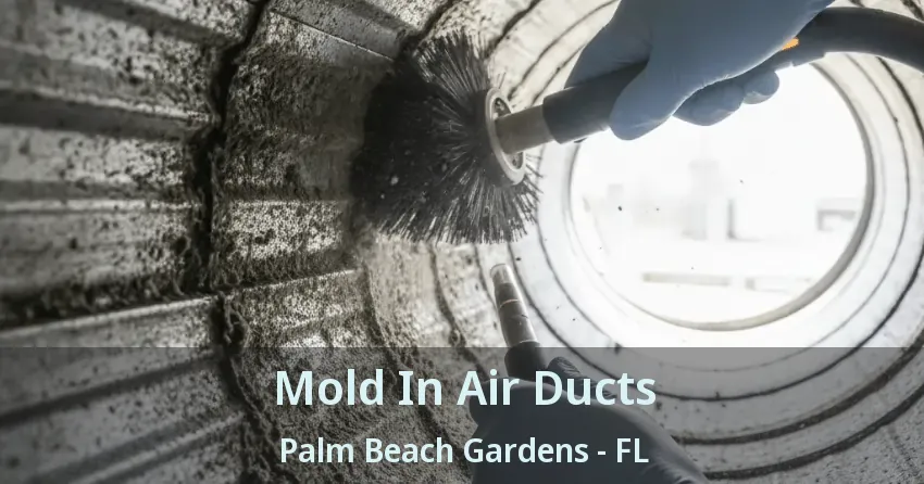 Mold In Air Ducts Palm Beach Gardens - FL