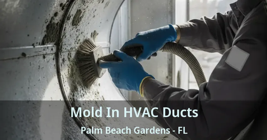 Mold In HVAC Ducts Palm Beach Gardens - FL