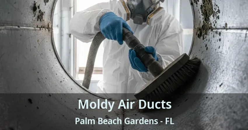 Moldy Air Ducts Palm Beach Gardens - FL